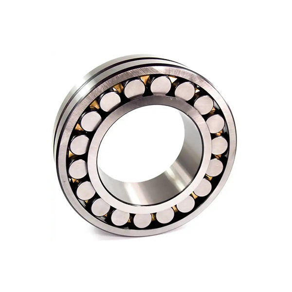 231 series